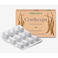 意大利原装进口Erbamea Cordyceps 冬虫夏草胶囊24粒